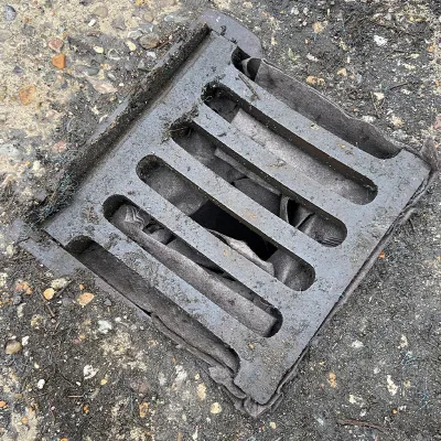 Biodegradable Drain Guard