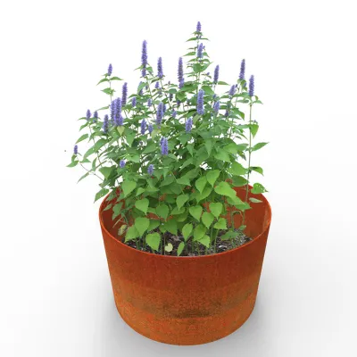 Cylindrical Rustic Planters - Bottomless