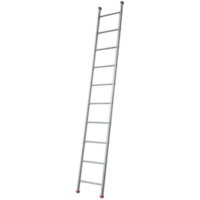 Industrial Steel Single Section Ladder