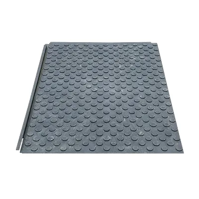 Pedestrian Walkway Ground Mat