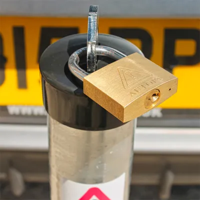 Hinged Lockable Parking Post